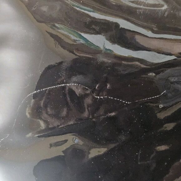 JIMMY CHOO Patent PVC BLACK Glossy XLarge Parfums Tote Bag Metallic Trim - Picture 2 of 9